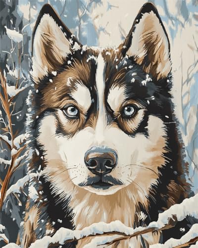 Taxpy Diy Stickbilder Erwachsene Husky Hund Tier Perlen-Kreuzstich-Set, Perlenmuster, Handarbeit, Stickerei, Handarbeitsset 40x50cm Taxpy Diy Stickbilder Erwachsene Husky Hund Tier Perlen-Kreuzstich-Set, Perlenmuster, Handarbeit, Stickerei, Handarbeitsset 40x50cm von Taxpy