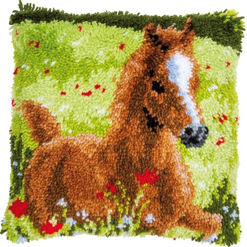 Taxpy Knüpfteppich Zum Selber Knüpf-Sets mit Kissen knüpfen-Set 43x43cm Kissenbezug-Set für Erwachsene und Kinder Latch Hook Kit Heimaccessoire(Tiermuster, Pferd E) von Taxpy