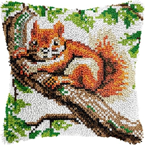 Taxpy Knüpfteppich Zum Selber knüpfen, Knüpfsets 43x43cm Latch Hook Kit Selbst Knüpfen Set für Kinder und Erwachsene(Tier-Eichhörnchen, O) von Taxpy