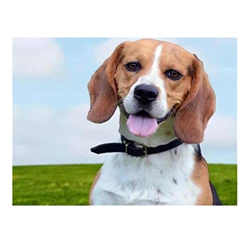 Taxpy Kreuzstich Stickpackungen Vorgedruckt, Tier Hund Beagle Diy Kreuzstich 11Ct Stickerei Kits Handwerk Handarbeiten Set Bedruckte Leinwand Baumwollfaden Zuhause Bilder Stickerei Set von Taxpy