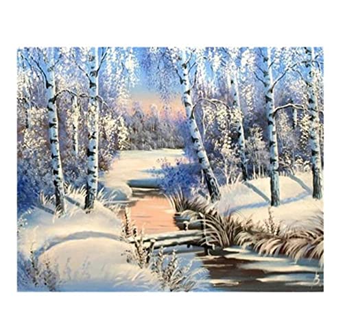 Taxpy Kreuzstich Stickpackungen Vorgedruckt Set Erwachsene, Landschaft Winter Diy Stickerei 11Ct Kreuzstich Kits Handarbeiten Bastelset Bedruckte Leinwand Baumwollfaden Stickvorlagen Stickbilder Vorg von Taxpy