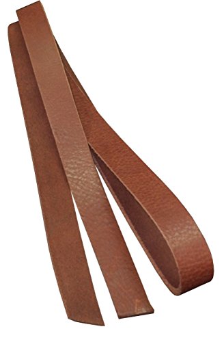 Team Beust 120-150 cm x 2,5 cm Latigo Lederriemen 3,6-4,2 mm Riemen Gürtelriemen cognac braun - 140 cm von Team Beust