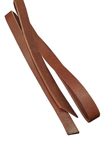 Team Beust 120-150 cm x 2 cm Latigo Lederriemen 3,6-4,2 mm Riemen Gürtelriemen cognac braun - 140 cm von Team Beust