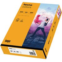 tecno Kopierpapier colors mittelorange DIN A4 160 g/qm 250 Blatt von Tecno