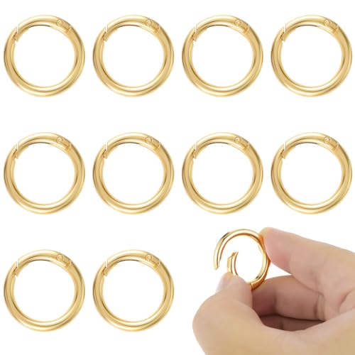 10 Stück Mini Karabiner Karabinerhaken Mini Kettenverschluss O Ring Spaltring 19 mm Runde Karabiner Mini Karabinerhaken Federhaken Karabinerring Metall O Ring für DIY Bastelarbeiten (Gold) von Telooco