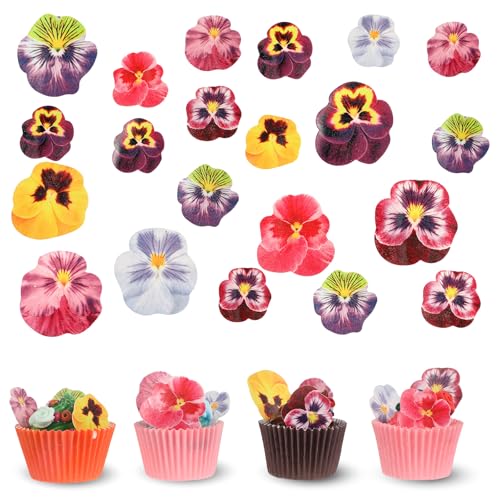 60 Stück Schmetterlingsblumen Kuchendekoration Geburtstag Blumen Tortendeko Hochzeit Cupcake Topper Kuchenblumen Stiefmütterchenblumen Cupcake Dekorationen für Hochzeit Geburtstag Babyparty von Telooco