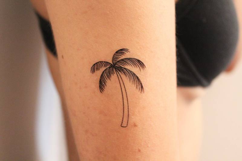 Palme Temporäres Tattoo | 2Er Set/strand Urlaub von TemporaryTattooInc