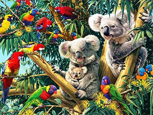 Koala Tier DIY Diamond Painting, 5D Diamant Paint Kits Kristallartiges Kreuzstichset Full Diamant Malen nach Zahlen für Erwachsene Kinder für Schlafzimmer Büro Wand Dekoration Round Drill,40x50cm von TengYuer