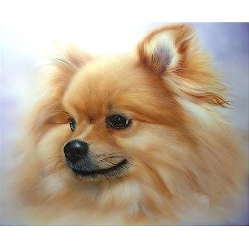 Pomeranian DIY Diamond Painting, 5D Diamant Paint Kits Kristallartiges Kreuzstichset Full Diamant Malen nach Zahlen für Erwachsene Kinder für Schlafzimmer Büro Wand Dekoration Square Drill,30x40cm von TengYuer