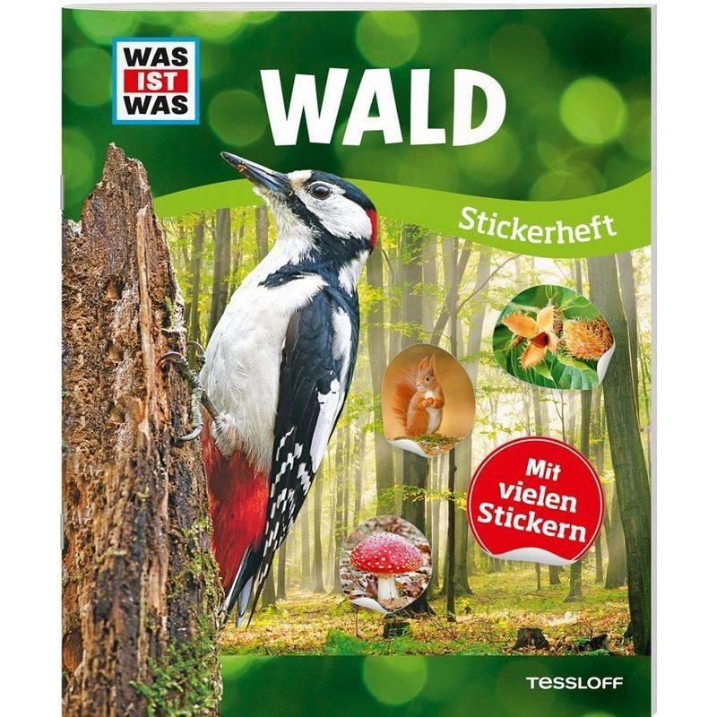 Wald - Anja Starigk, Lorena Lehnert, Kartoniert (TB) von Tessloff Verlag Ragnar Tessloff GmbH & Co. KG