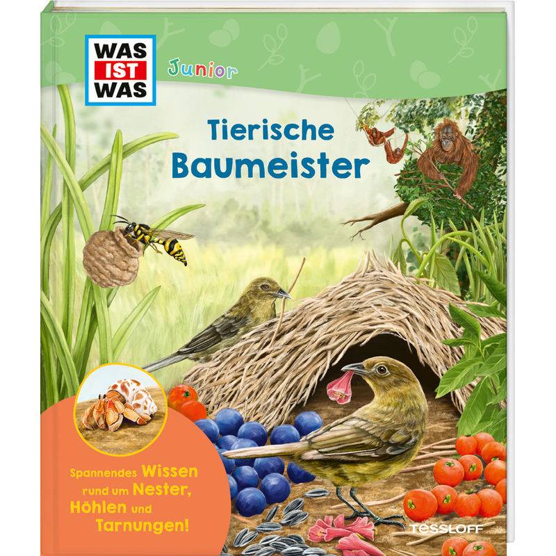 Was Ist Was Junior Tierische Baumeister - Karolin Küntzel, Gebunden von Tessloff Verlag Ragnar Tessloff GmbH & Co. KG
