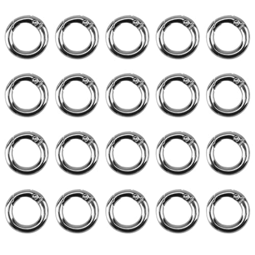 20Pcs Karabiner Rund Klein 20mm, Karabinerring O-Ring Metall Kleine Runde Karabiner Zinklegierung Binderinge Silber Rund Taschenringe Karabinerring für Schlüsselanhänger Rucksack Tasche DIY Handwerk von Teuena