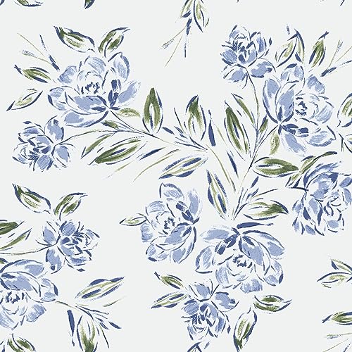 Texco Inc 147,3 cm breiter bedruckter Hi-Multi-Chiffon-gewaschener Stoff, nicht dehnbar, leicht, 85 g/m², atmungsaktiv und knitterfrei, für Bekleidung, Vorhänge und DIY-Projekte, Hellsilberblau, 4,5 m Texco Inc 147,3 cm breiter bedruckter Hi-Multi-Chiffon-gewaschener Stoff, nicht dehnbar, leicht, 85 g/m², atmungsaktiv und knitterfrei, für Bekleidung, Vorhänge und DIY-Projekte, Hellsilberblau, 4,5 m von Texco