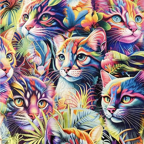 Textileo Nähstoff Baumwolle 50x160 cm | Bedruckter Baumwollstoff 135 g/m2 | Hochwertiger 100% Baumwollsatin | Für Bettwäsche, Kinderkleidung, Steppdecken, Kleidung | Colorful Cats von Textileo