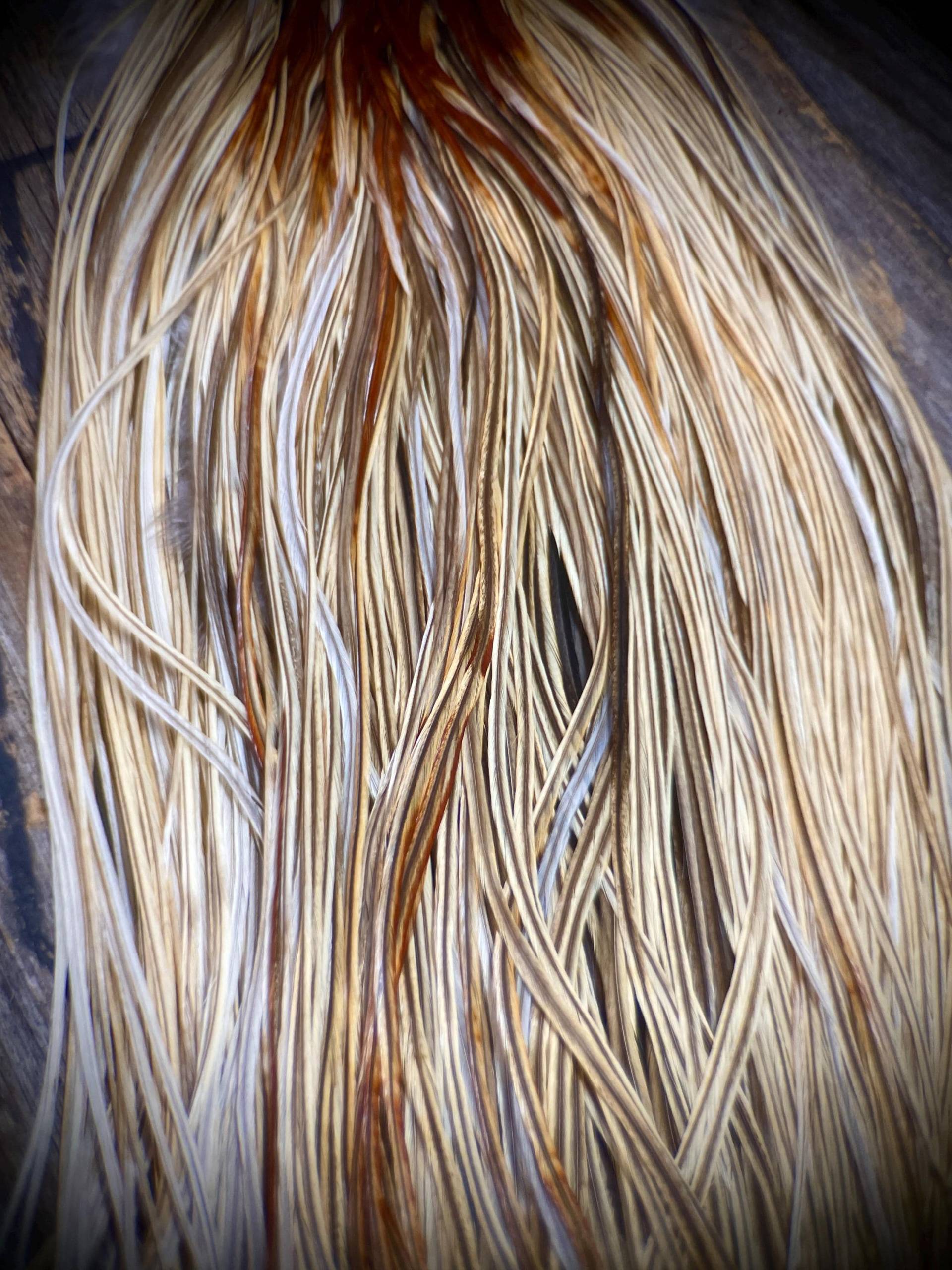 Natürliche Blonde Hahnfedern - Feder Haarverlängerungen 5 Echte Federn Diy Boho Federverlängerungen von TheFeathersmiths