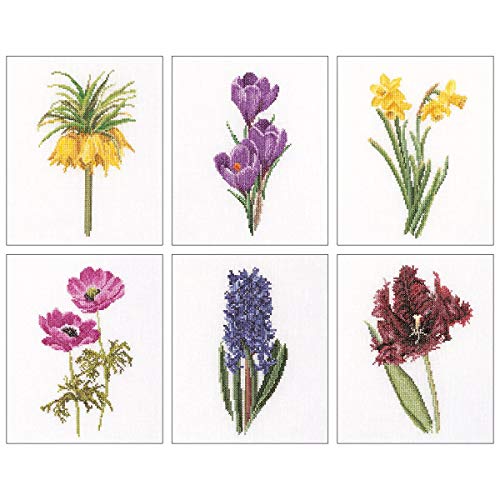 Thea GOUVERNEUR SINCE 1959 3083A Floral Studies 3 On Aida Kreuzstich-Set, 17,1 x 20,3 cm, 18-fädig, 6 Stück, Stoff, durchsichtig, 6 x 17x20cm von Thea GOUVERNEUR SINCE 1959