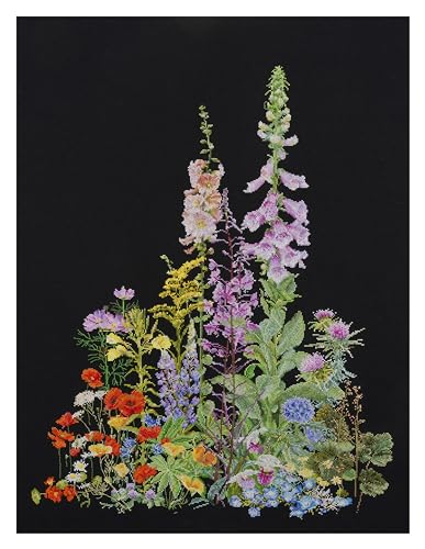 Thea Gouverneur - Kreuzstich-Set - Amerikanisce Wildblumen - Aida Schwarz - 16 Count - Für Erwachsene - 554.05 von Thea GOUVERNEUR SINCE 1959