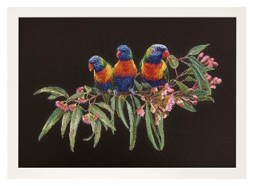 Thea Gouverneur - Kreuzstich-Set - Lorikeets - Aida Schwarz - 16 Count - Für Erwachsene - 553.05 von Thea GOUVERNEUR SINCE 1959