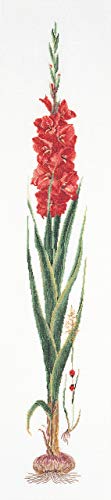 Thea Gouverneur - Kreuzstich-Set - Roter Gladiolus - Aida - 18 Count - Für Erwachsene - 3073A von Thea GOUVERNEUR SINCE 1959