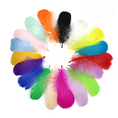 Thonlai 100pcs/300pcs Bunte Rooster -Federn für das Handwerk Flauschiger und Weicher Federhandwerksfeder für DIY Crafts Hochzeitsdekoration Home Party Dekoration (Bunt #35) von Thonlai