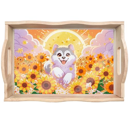 TianMaiGeLun 5D Diamond Art Tray with Handle DIY Diamond Art Plate Kits DIY Painting By Numbers Diamond Painting（T12 von TianMaiGeLun