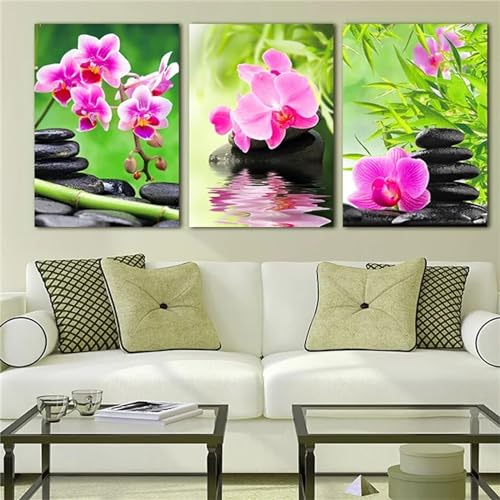 3 Stück Diamant Painting Bilder Phalaenopsis Orchidee Diamond Painting Erwachsene Groß 5D Diamond Art Painting Kinder Basteln Voll Set Diamond Painting Zubehör für Room Decor Wohnwand 40x60cm F-3364 von Tifnuer