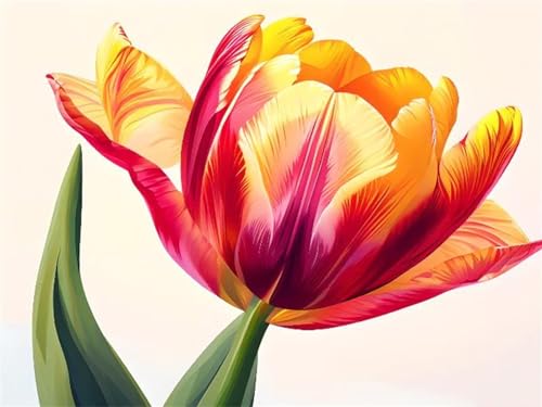 Abstrakte Tulpe Malen Nach Zahlen, DIY Set Erwachsene Malen Nach Zahlen Schipper, auf Leinwand Acrylmalerei Nach Zahlen mit 3 Pinsel und Acrylfarben Basteln Mädchen Geschenk 30x40cm (Rahmenlos) I-1109 von Tifnuer