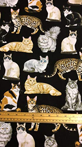 Fat Quarter Patchworkstoff, Katzenmotiv, 100 % Baumwolle, Schwarz von Timeless Treasures