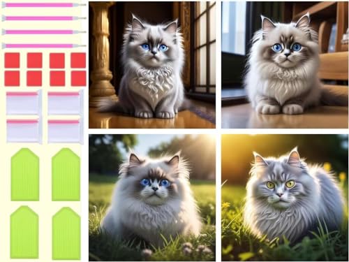 5D Diamond Painting 4er Set Diamant Painting Bilder, Ragdoll Katze Malen Nach Zahlen Bastelnset Erwachsene Stickerei Vollbohrer Kristall Art Diamant Malerei Bilder Home Wand Deko, 4Pcs 30x30cm T-1285 von Tinnoon