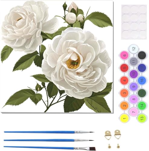 DIY Malen Nach Zahlen Erwachsene Rose Weiß Malen Nach Zahlen Kits auf Leinwand, Handgemalt Ölgemälde Leinwand Kits zur Heimdekoration, Pinseln Acrylpigment für Geschenke und Home Deko 20x20cm U-6723 von Tinnoon