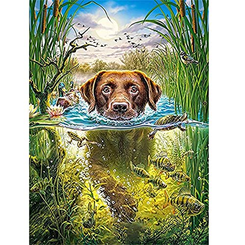 Diamond Painting Hund, DIY Malen Nach Zahlen Erwachsene Kinder Stickerei, 5D Diamant Painting Bilder Schlafzimmer, Daiments Painting Voll Zubehör, Mosaik Diamant Malerei Art Decor, 30x40cm/12x16in von Tinnoon