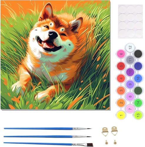 Malen Nach Zahlen Erwachsene Tier Shiba Inu Malen Nach Zahlen Kits auf Leinwand, Handgemalt Ölgemälde Leinwand Kits zur Heimdekoration, Pinseln Acrylpigment für Geschenke und Home Deko 45x45cm U-2174 von Tinnoon