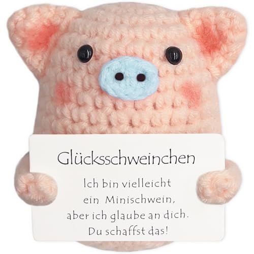 Tixlux Glücksschweinchen, Kreative Strickwolle Minischwein Puppe, Mutmacher Geschenk, Gute Besserung Geschenk, Glücksbringer Prüfung Geschenk, Abschieds Geschenk, Einschulung Geschenk (Blaue Nase) von Tixlux