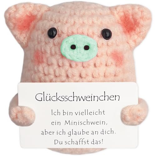 Tixlux Glücksschweinchen, Kreative Strickwolle Minischwein Puppe, Mutmacher Geschenk, Gute Besserung Geschenk, Glücksbringer Prüfung Geschenk, Abschieds Geschenk, Einschulung Geschenk (Grüne Nase) von Tixlux