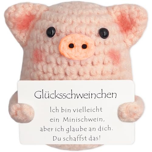 Tixlux Glücksschweinchen, Kreative Strickwolle Minischwein Puppe, Mutmacher Geschenk, Gute Besserung Geschenk, Glücksbringer Prüfung Geschenk, Abschieds Geschenk, Einschulung Geschenk (Orange Nase) von Tixlux