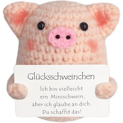 Tixlux Glücksschweinchen, Kreative Strickwolle Minischwein Puppe, Mutmacher Geschenk, Gute Besserung Geschenk, Glücksbringer Prüfung Geschenk, Abschieds Geschenk, Einschulung Geschenk （Rosa Nase von Tixlux