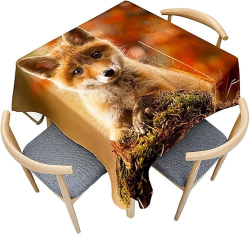 Tischdecke Outdoor Fuchs Tischdecken Abwaschbar 3D Süße Tiere Tischdecke Wetterfest Wasserdicht für Weihnachten Party Biertisch, 140x140 cm A/B2644 von Tizhweqo