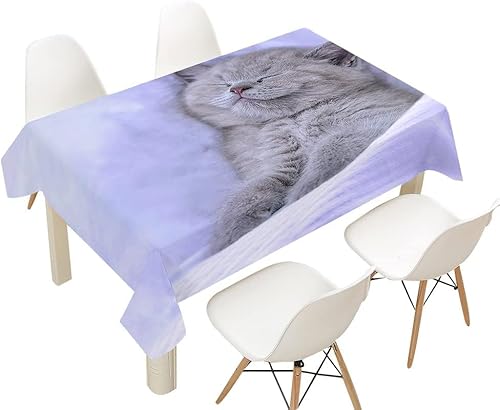 Tischdecke Outdoor Katze Tischdecken Abwaschbar 3D Süße Tiere Tischdecke Wetterfest Wasserdicht für Party Biertisch, 140x200 cm P/Q von Tizhweqo