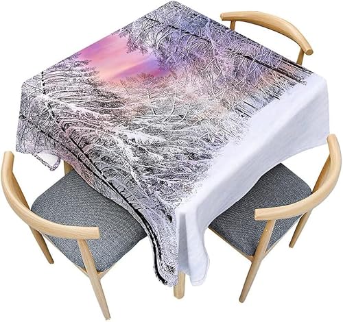 Tischdecke Outdoor Schneeszene Tischdecken Abwaschbar 3D Winter Tischdecke Wetterfest Wasserdicht für Weihnachten Party Biertisch, 150x150 cm E/F637 von Tizhweqo