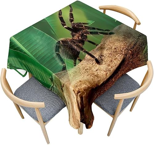 Tischdecke Outdoor Spinne Tischdecken Abwaschbar 3D Grüne Pflanzen Tischdecke Wetterfest Wasserdicht für Weihnachten Party Biertisch, 140x140 cm A/B3916 von Tizhweqo