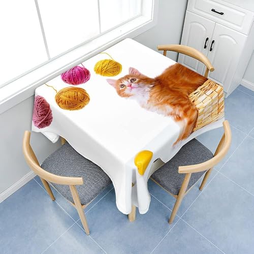 Tischdecke Outdoor Süße Katze Tischdecken Abwaschbar 3D Interessant Tischdecke Wetterfest Wasserdicht für Weihnachten Party Biertisch, 140x200 cm E/F1207 von Tizhweqo