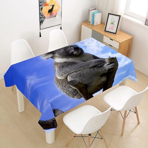 Tischdecke Outdoor Süßer Koala Tischdecken Abwaschbar 3D Blauer Himmel Tischdecke Wetterfest Wasserdicht für Weihnachten Party Biertisch, 100x100 cm A/B619 von Tizhweqo