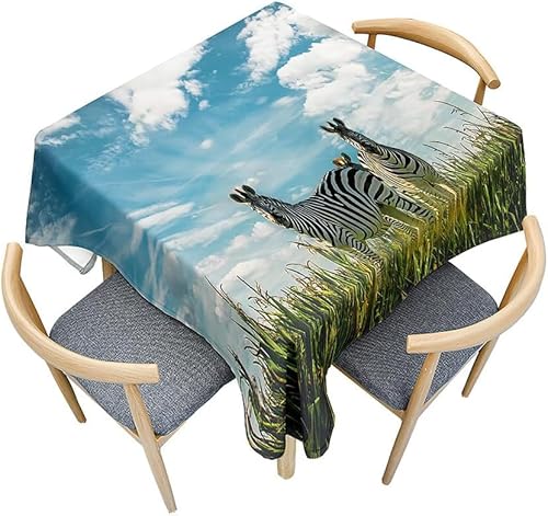 Tischdecke Outdoor Zebra Tischdecken Abwaschbar 3D Weizenfeld Tischdecke Wetterfest Wasserdicht für Weihnachten Party Biertisch, 100x100 cm A/B2627 von Tizhweqo