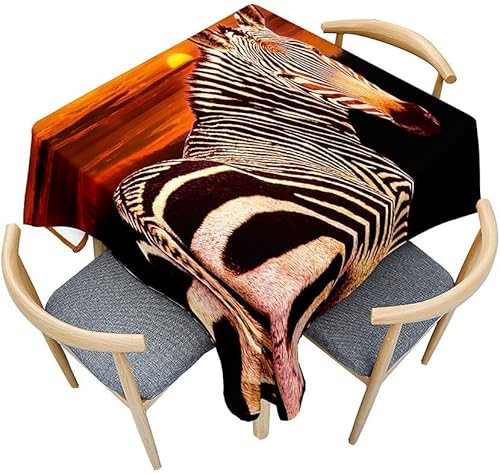 Tischdecke Outdoor Zebra Tischdecken Abwaschbar 3D Wilde Tiere Tischdecke Wetterfest Wasserdicht für Weihnachten Party Biertisch, 140x140 cm A/B404 von Tizhweqo