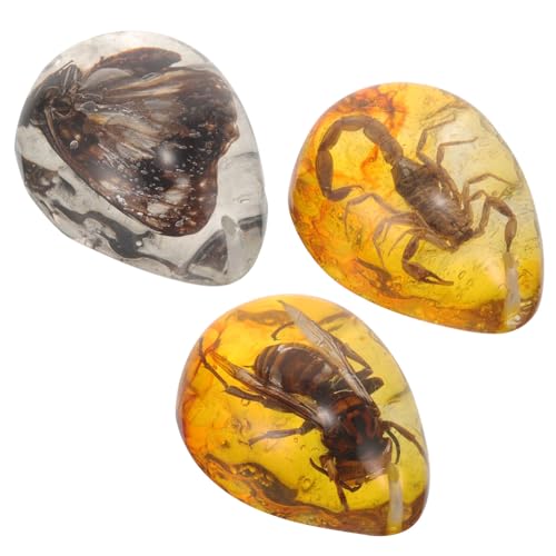 Toddmomy 3stücke Bernstein Mit Insekt Echt Insekt Bernstein Insekten Ornament Für Heimwerker Dekoration Anhänger Probe Toddmomy 3stücke Bernstein Mit Insekt Echt Insekt Bernstein Insekten Ornament Für Heimwerker Dekoration Anhänger Probe von Toddmomy