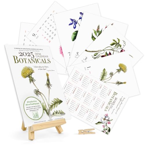 Tischkalender 2025 – Hergestellt in den USA, entworfen von lokalen Künstlern, Monatskalender, Aquarell, botanisches Design für Zuhause, Büro, Schule und mehr (2025 Botanical-02, Mini-Staffelei) von Todo Bien Design Inc.