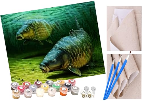 Malen nach Zahlen Paar Karpfen Kits für Anfänger Erwachsene DIY Art Decor Handgemalte Malerei nach Zahlen Kreatives Geschenk Home Decoration 16x20 Zoll von ToeTs