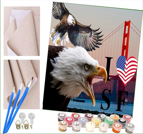 ToeTs Malen nach Zahlen Kits für Erwachsene und Kinder Liebe Amerika, liebe San Francisco Diy Digitales Ölgemälde Geschenk Kits Vorgedruckte Leinwand Kunst Dekoration -16 * 20 Zoll von ToeTs