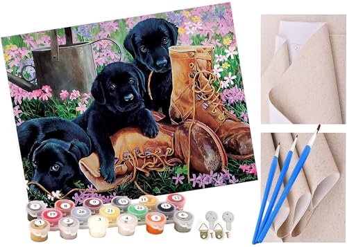 ToeTs Malen nach Zahlen Kits für Erwachsene und Kinder Schwarzer Welpe und Schuhe Diy Digitales Ölgemälde Geschenk Kits Vorgedruckte Leinwand Kunst Dekoration -16 * 20 Zoll von ToeTs