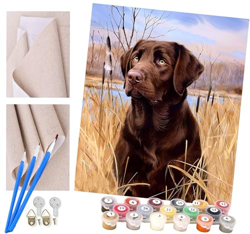 ToeTs Malen nach Zahlen brauner Labrador Erwachsene und Kinder DIY Ölgemälde Geschenk-Kits Geschenk vorgedruckte Leinwand Kunst Home Wandkunst Decoration Geschenk von ToeTs